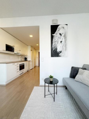 Port Arthur - Apartments, Free Parking Garage included, Turku